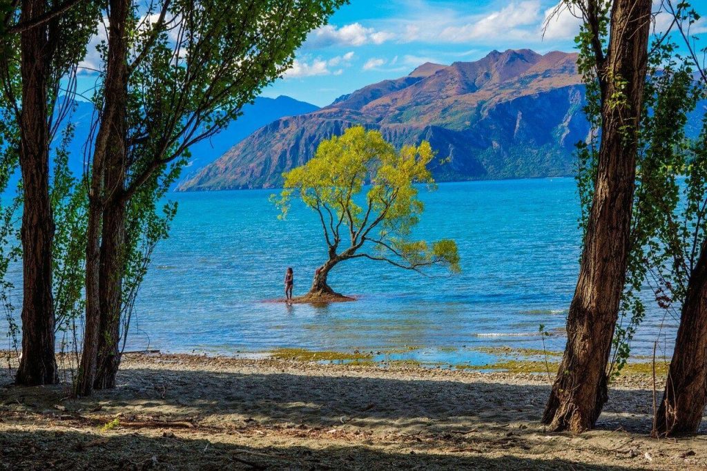 Vacation in Wanaka New Zealand