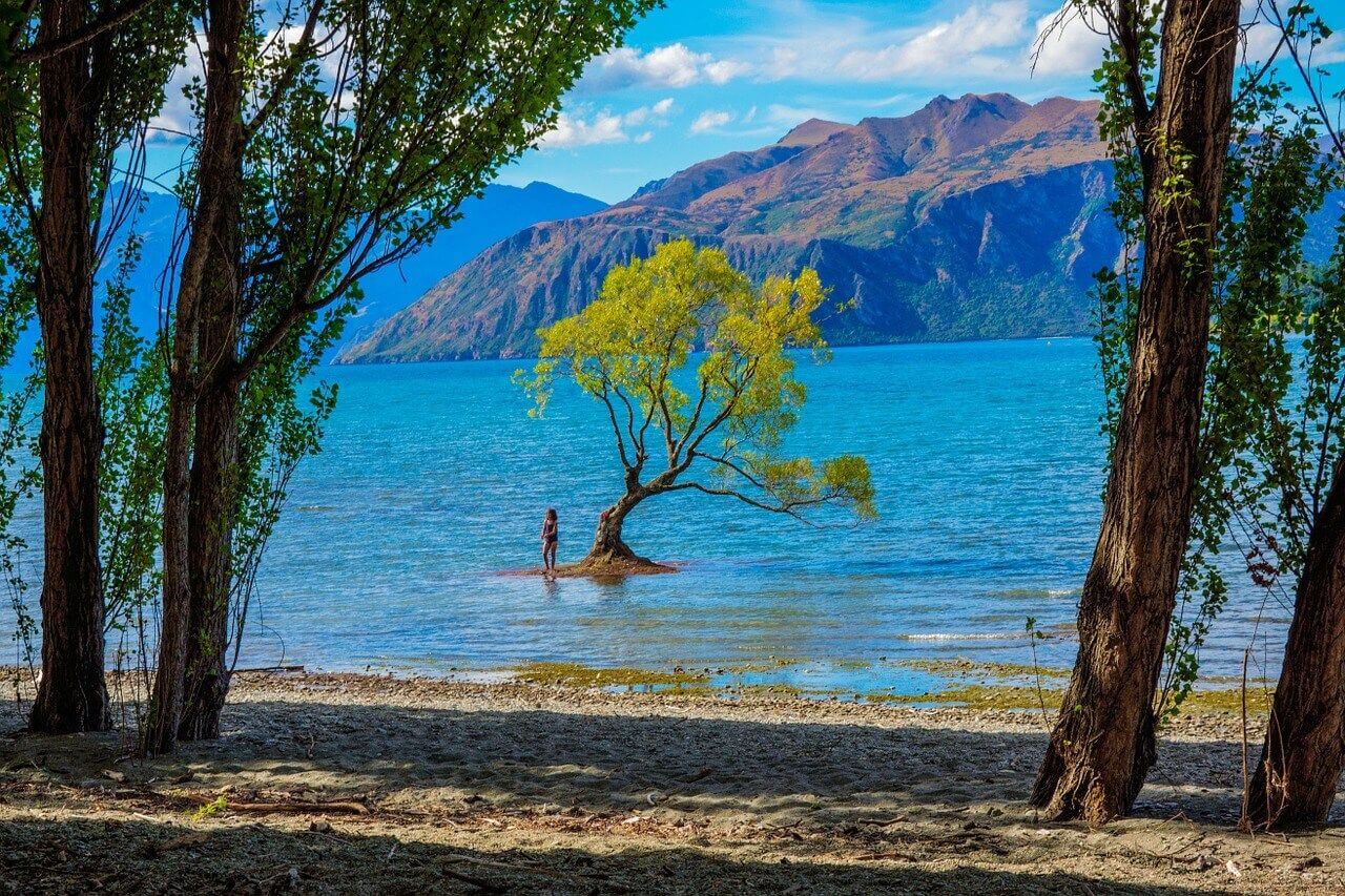 Vacation in Wanaka, New Zealand