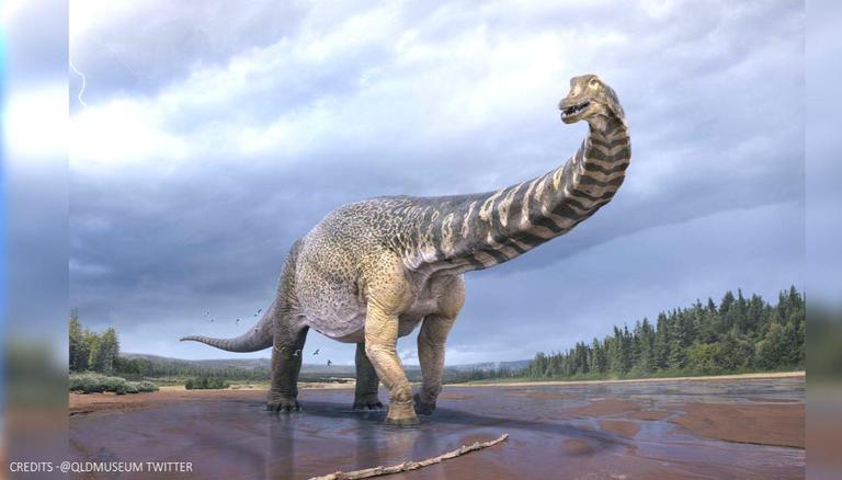 Australias Largest Dinosaur
