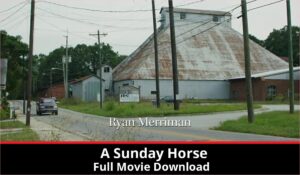 A Sunday Horse full movie download in HD 720p 480p 360p 1080p