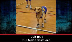 Air Bud full movie download in HD 720p 480p 360p 1080p
