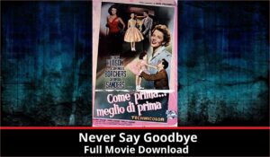 Never Say Goodbye full movie download in HD 720p 480p 360p 1080p