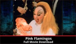 Pink Flamingos full movie download in HD 720p 480p 360p 1080p