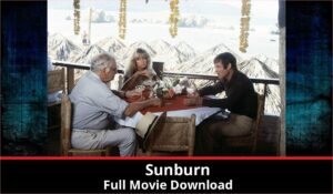 Sunburn full movie download in HD 720p 480p 360p 1080p