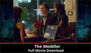 The Meddler full movie download in HD 720p 480p 360p 1080p