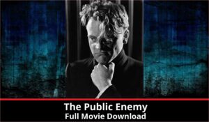The Public Enemy full movie download in HD 720p 480p 360p 1080p