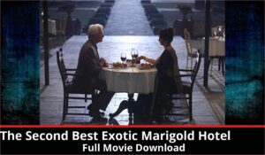 The Second Best Exotic Marigold Hotel full movie download in HD 720p 480p 360p 1080p