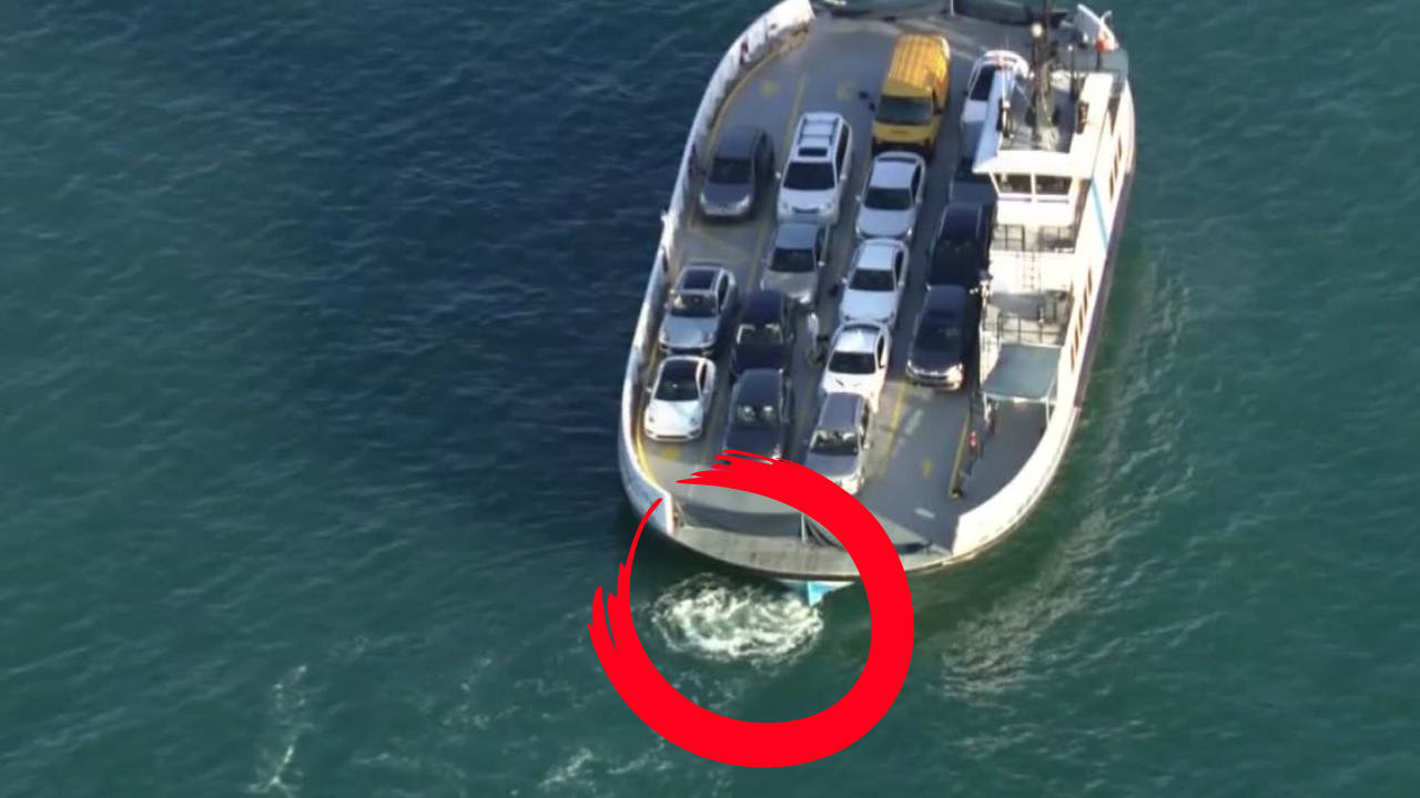Tragic Fisher Island Ferry Accident Claims Life