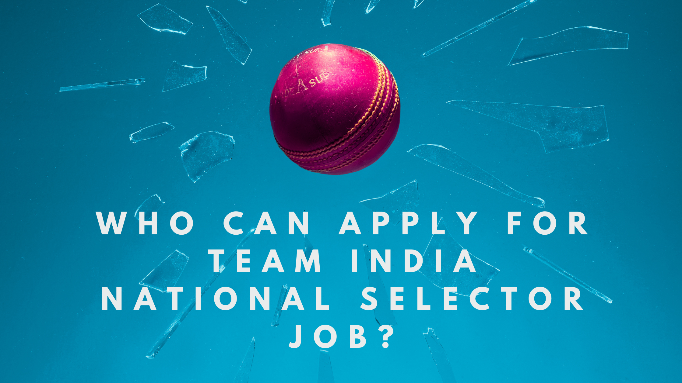 Who can apply for Team India National selector job?